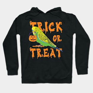 Trick Or Treat Parrot Halloween Celebration Hoodie